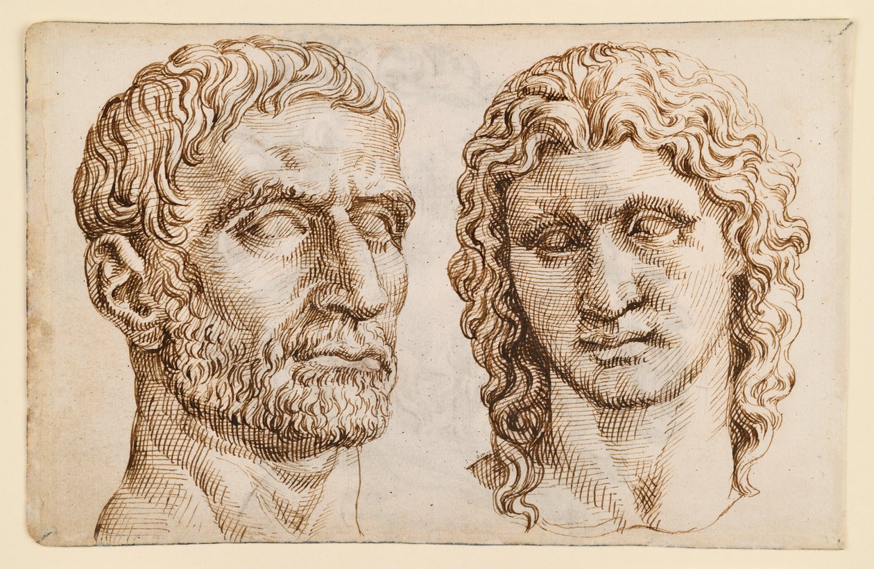 Kopf eines älteren Mannes, Jünglingskopf von Maarten van Heemskerck