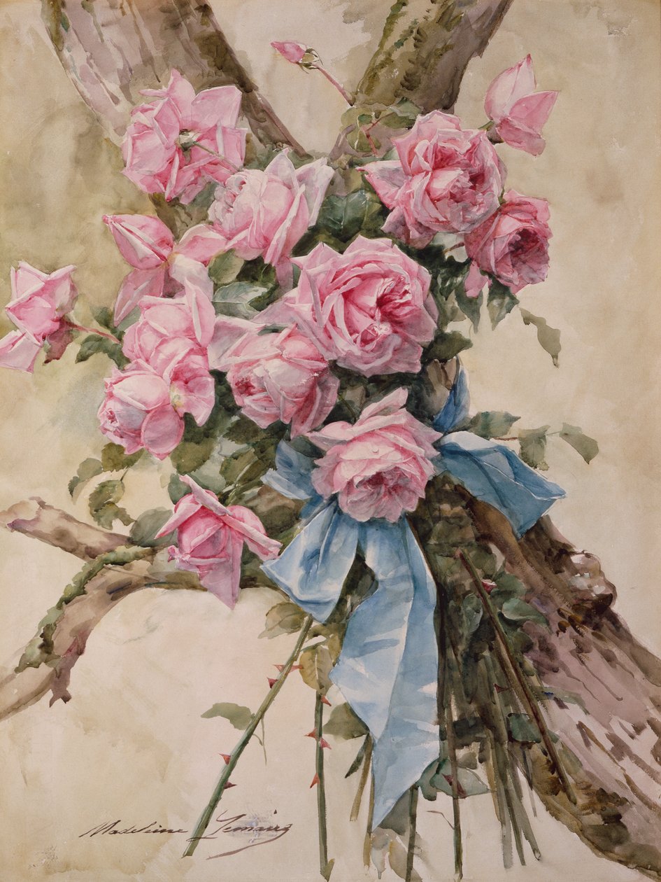 Rosen von Madeleine Lemaire