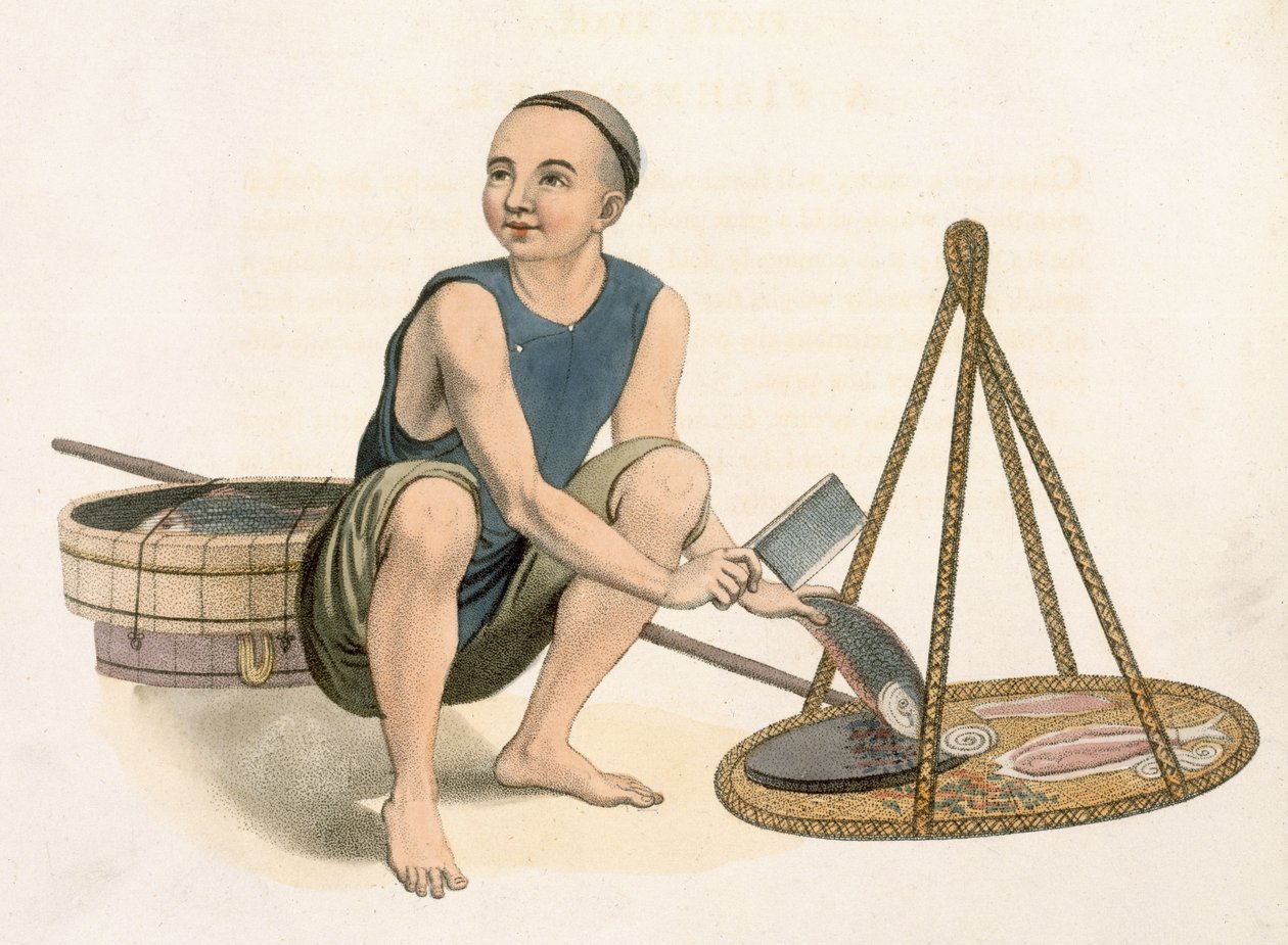 Ein Fischhändler, Tafel 39 aus 