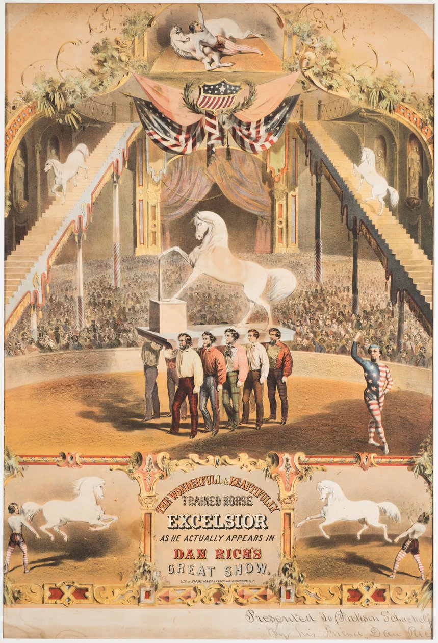 Das wunderbare und schön trainierte Pferd Excelsior, um 1840 von Major and Knapp Sarony