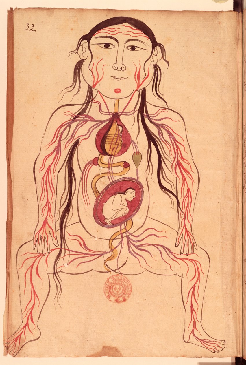 Ms Persan 151 Fol.32 Anatomische Darstellung einer Frau und ihres Fötus von Mansour b. Eliyas Chirazi