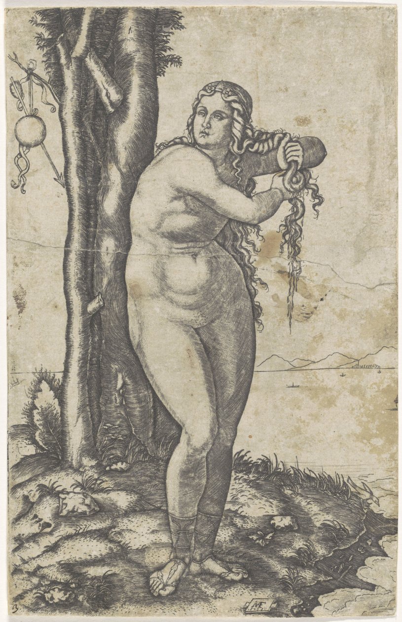 Venus steht am Wasser und wringt ihr Haar aus von Marcantonio Raimondi