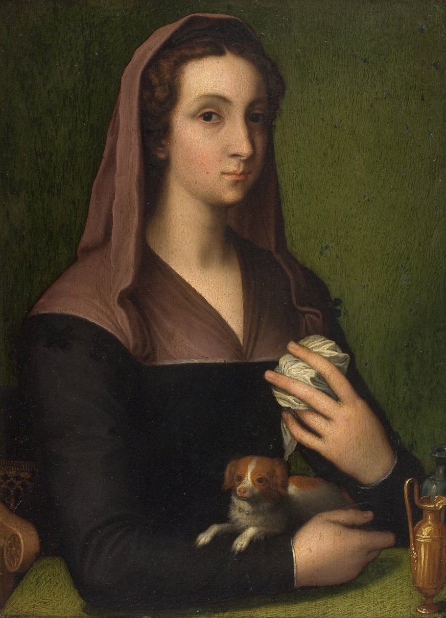 Porträt einer Dame von Marcello (follower of) Venusti