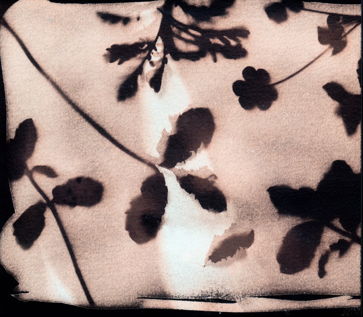Natur von Marco Campedelli