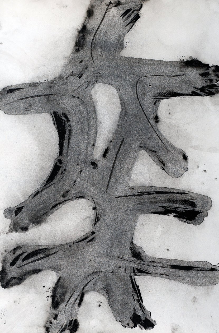Ramas, 2014 von Marco Campedelli