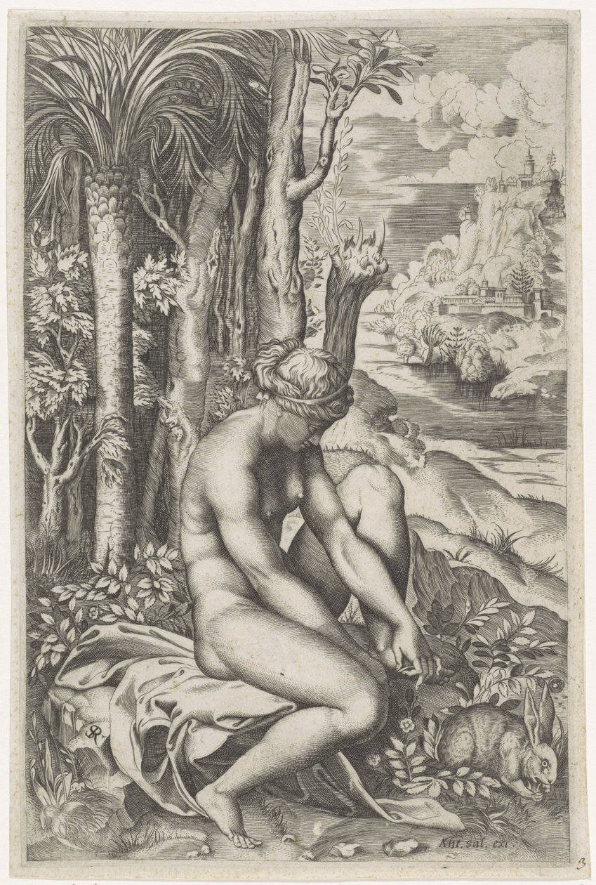 Venus, verletzt durch den Dorn einer Rose von Marco Dente