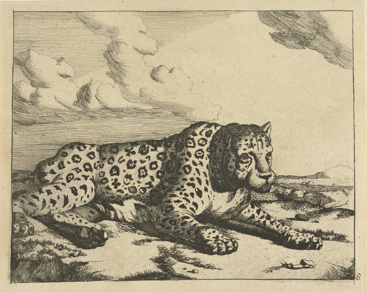 Leopard liegt nach rechts, die Pfoten zum Betrachter Leoparden (Serie)