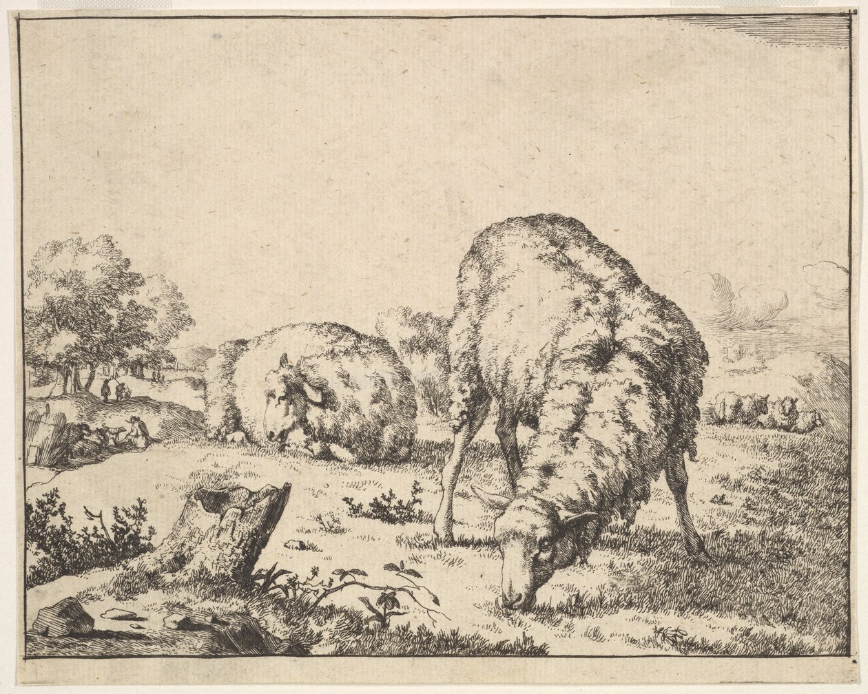 Schafe, aus einem Satz von 16 Platten, 1664 von Marcus de Bye
