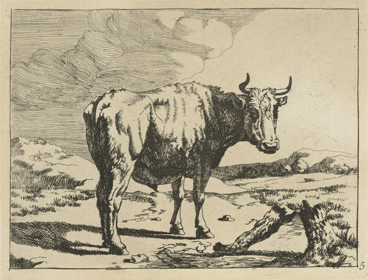 Stier stehend bei einem Baumstumpf von Marcus de Bye