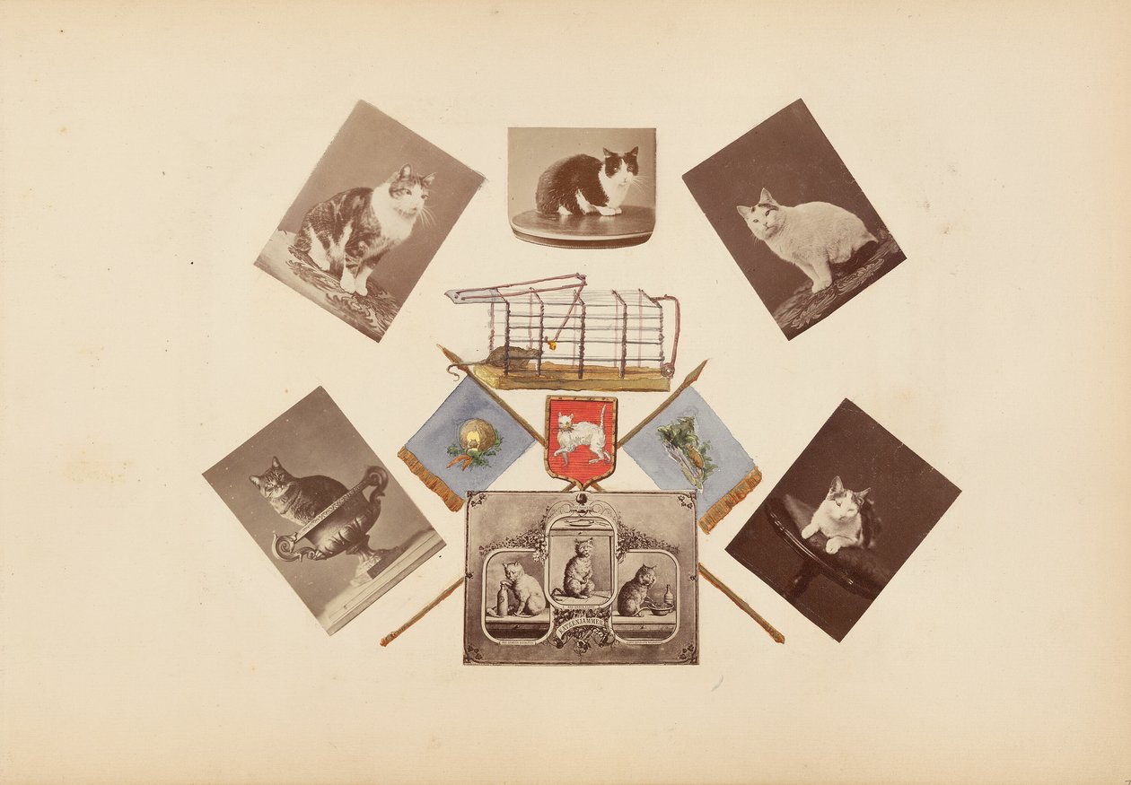 Das Madame B Album von Marie Blanche Hennelle Fournier