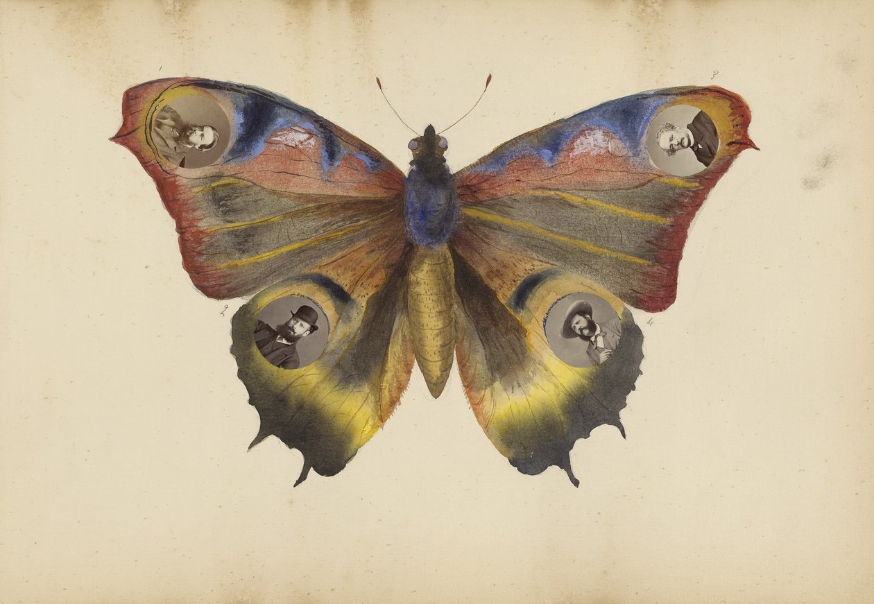 Das Madame B Album, 1870er Jahre von Marie Blanche Hennelle Fournier