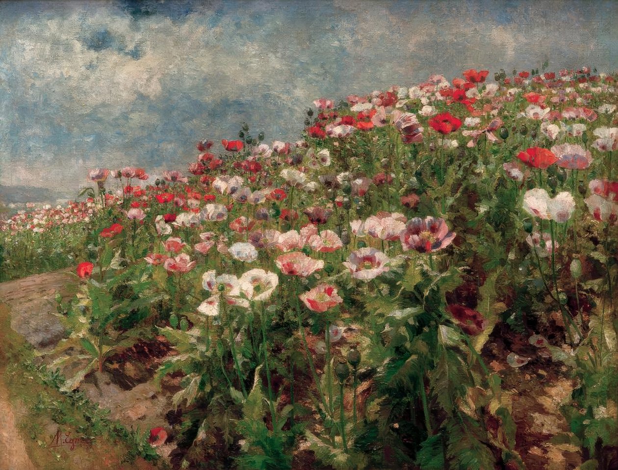 Blühender Mohn, Motiv aus St. Georgen bei Melk von Marie Egner