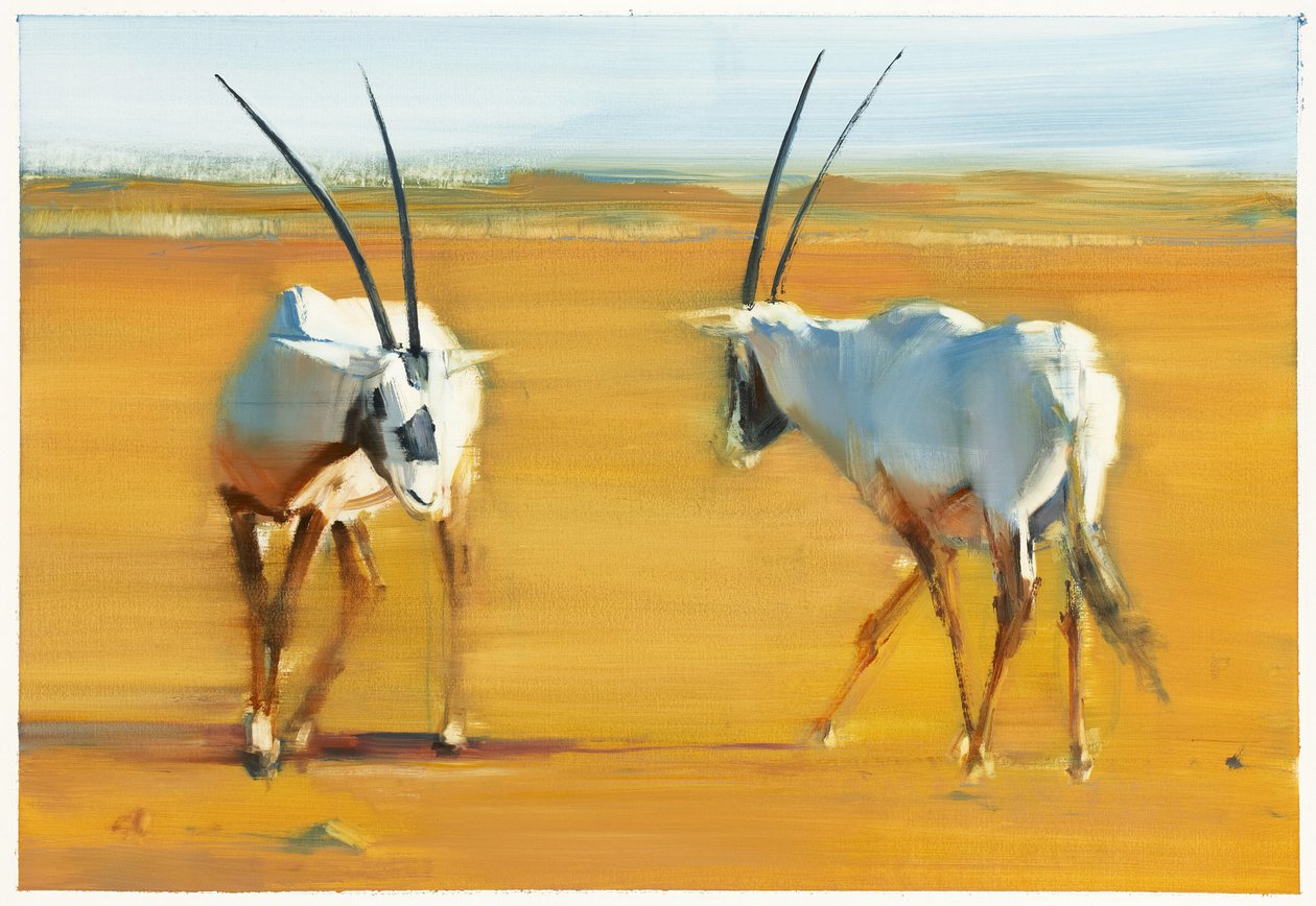 Kreisende Arabische Oryx von Mark Adlington