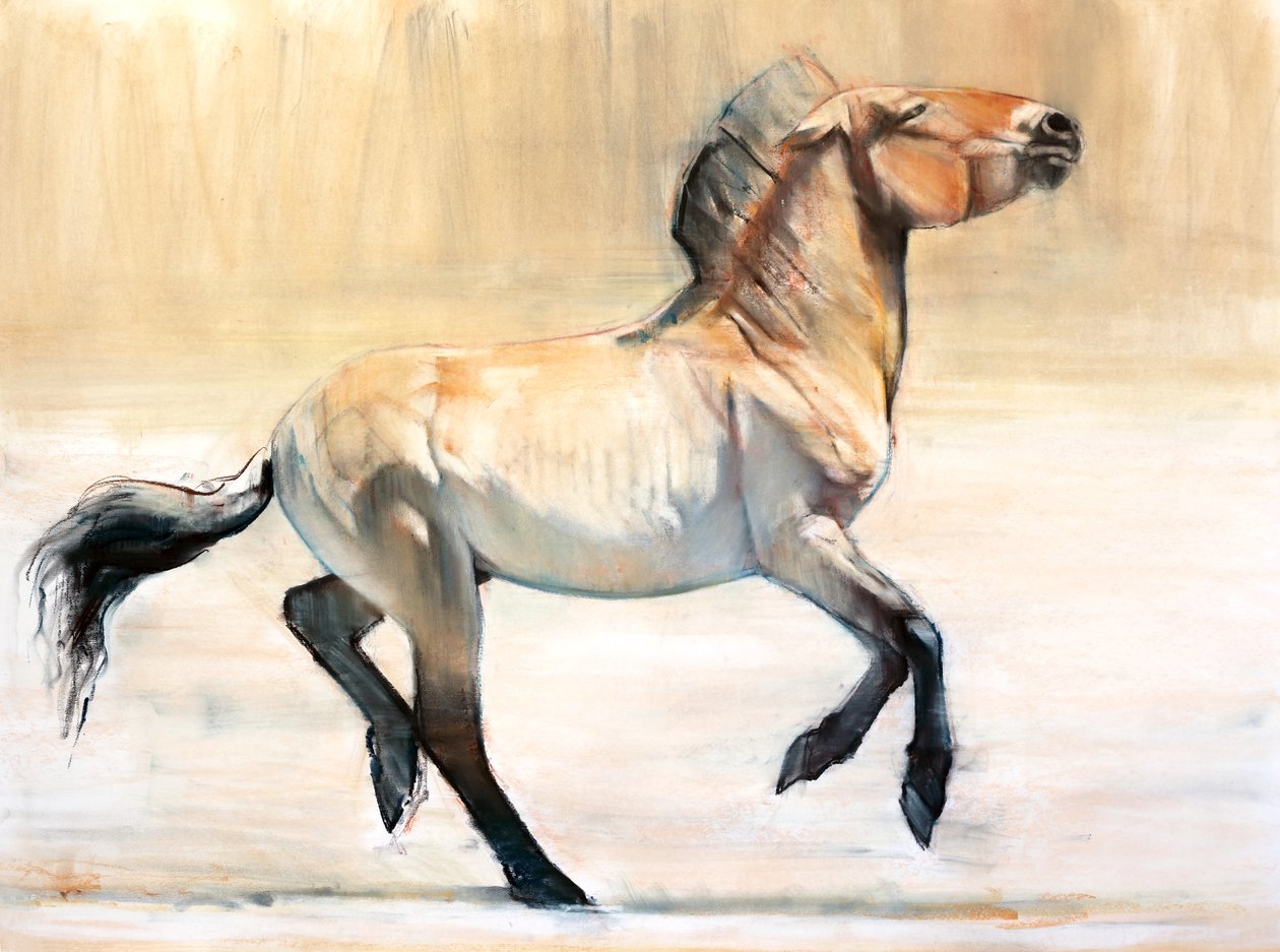 Equus (Przewalski), 2014 von Mark Adlington