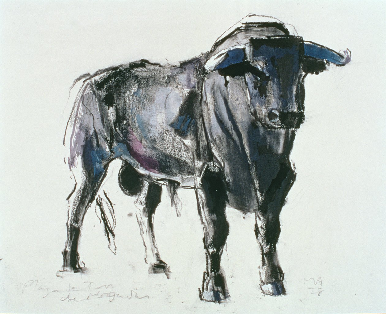 Plaza de Toros de Miajadas, 1998 von Mark Adlington