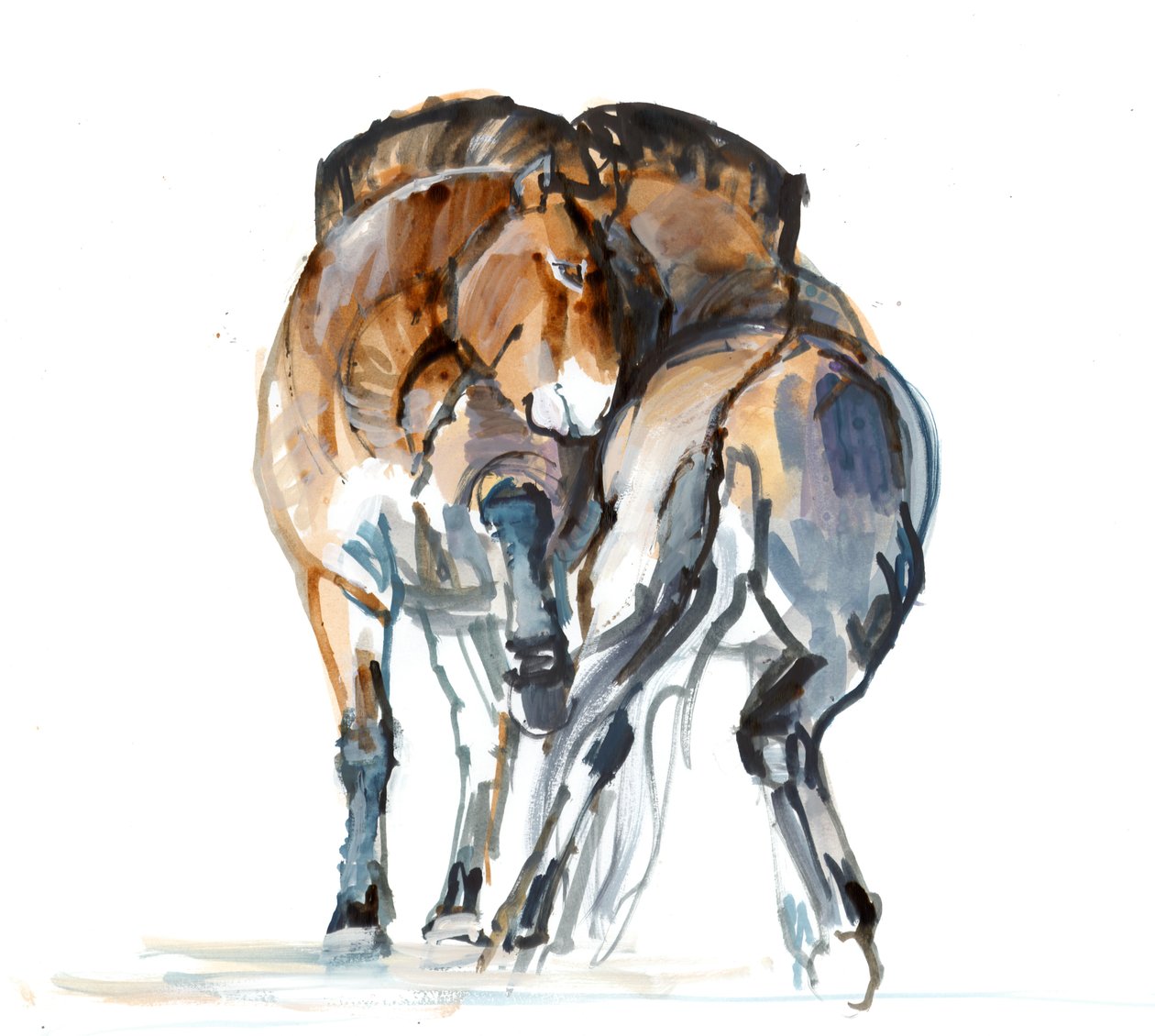 Macht-Tanz (Przewalski), 2013 von Mark Adlington