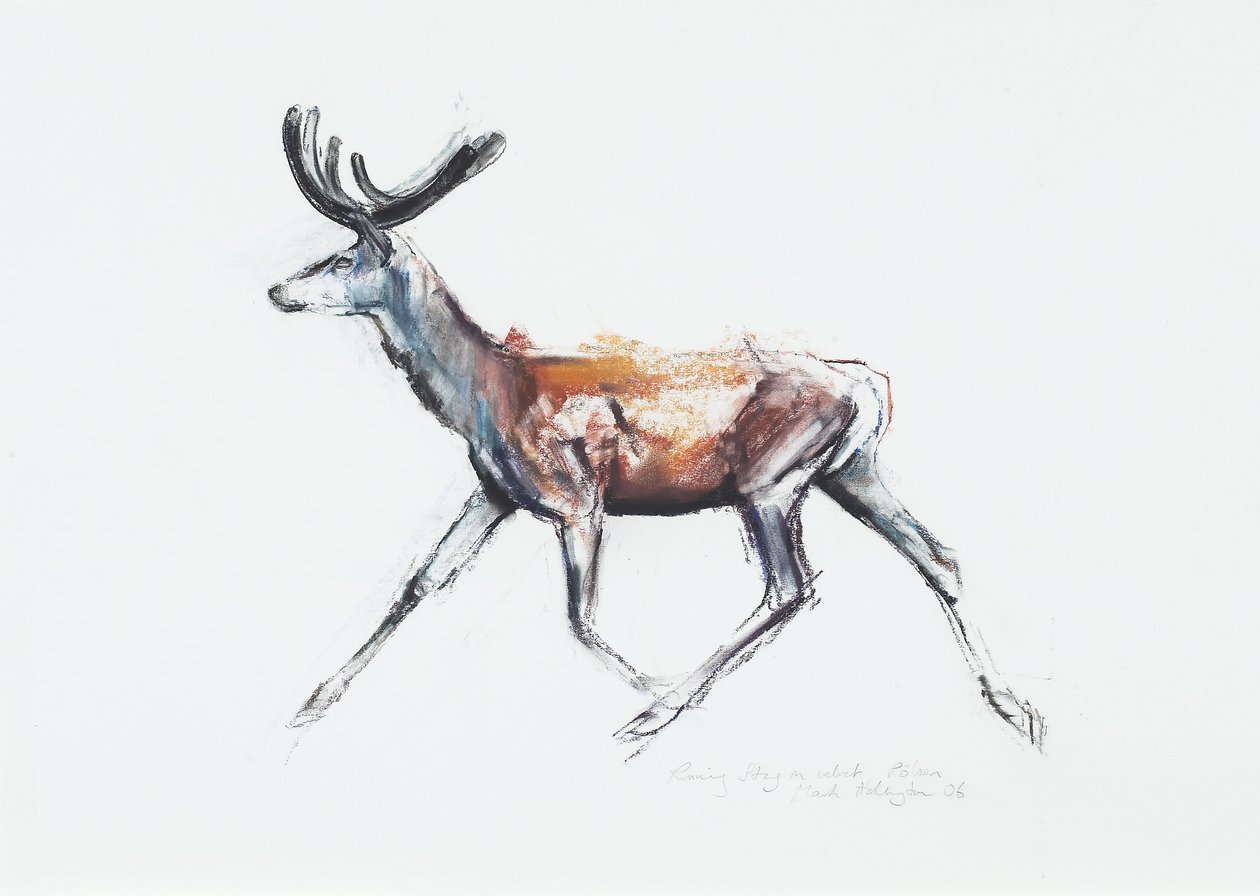 Laufender Hirsch im Samt, Polsen, 2006 von Mark Adlington