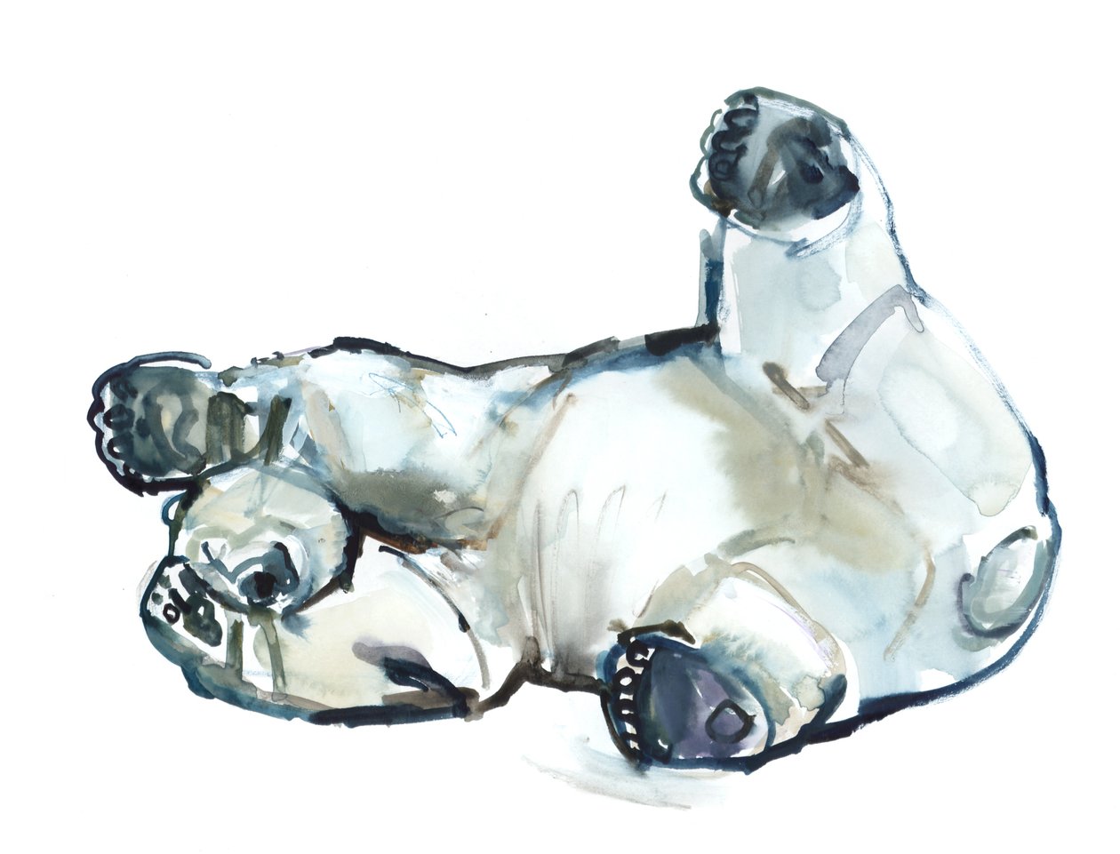 Schnee Rub (Eisbär), 2013 von Mark Adlington