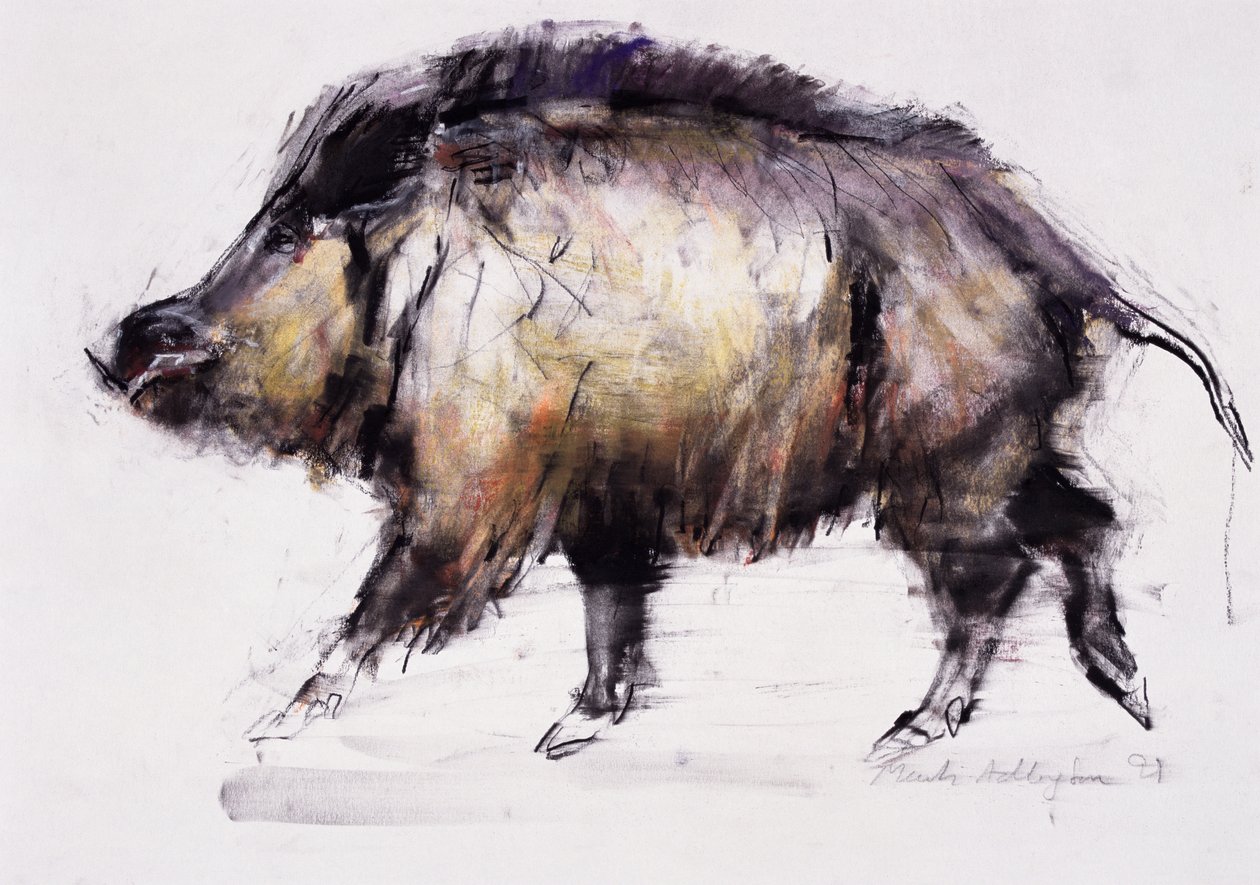 Wildschwein, 1999 von Mark Adlington