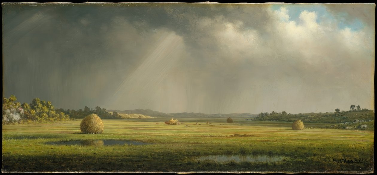 Wiesen von Newburyport von Martin Johnson Heade