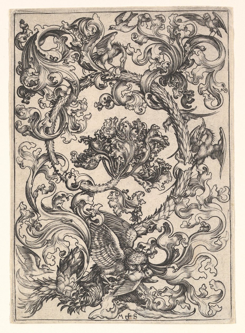 Ornament mit Eule, verspottet von Tagvögeln, ca. 1435-1491 von Martin Schongauer