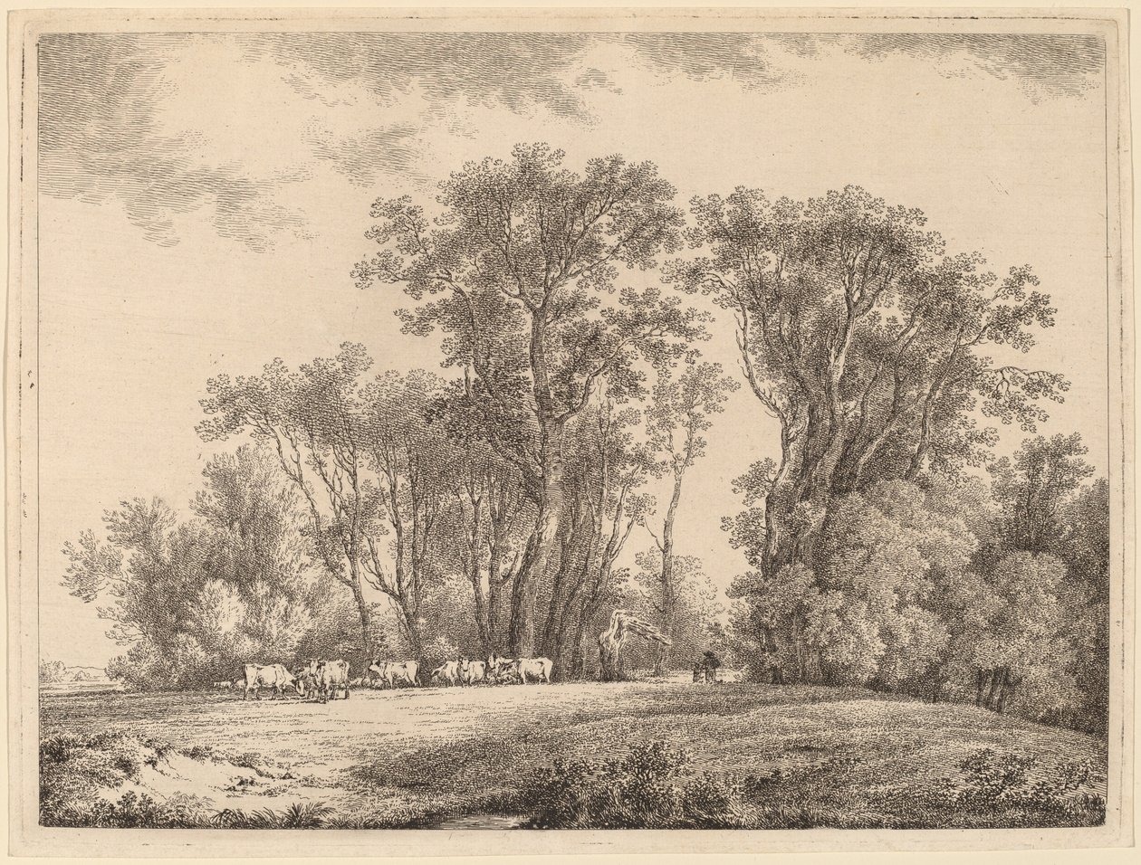 Eine Wiese mit Vieh am Waldrand von Martin von Molitor