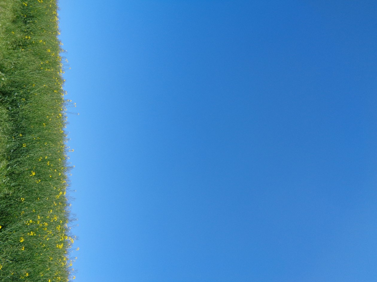 Blau von Martina Konitzky