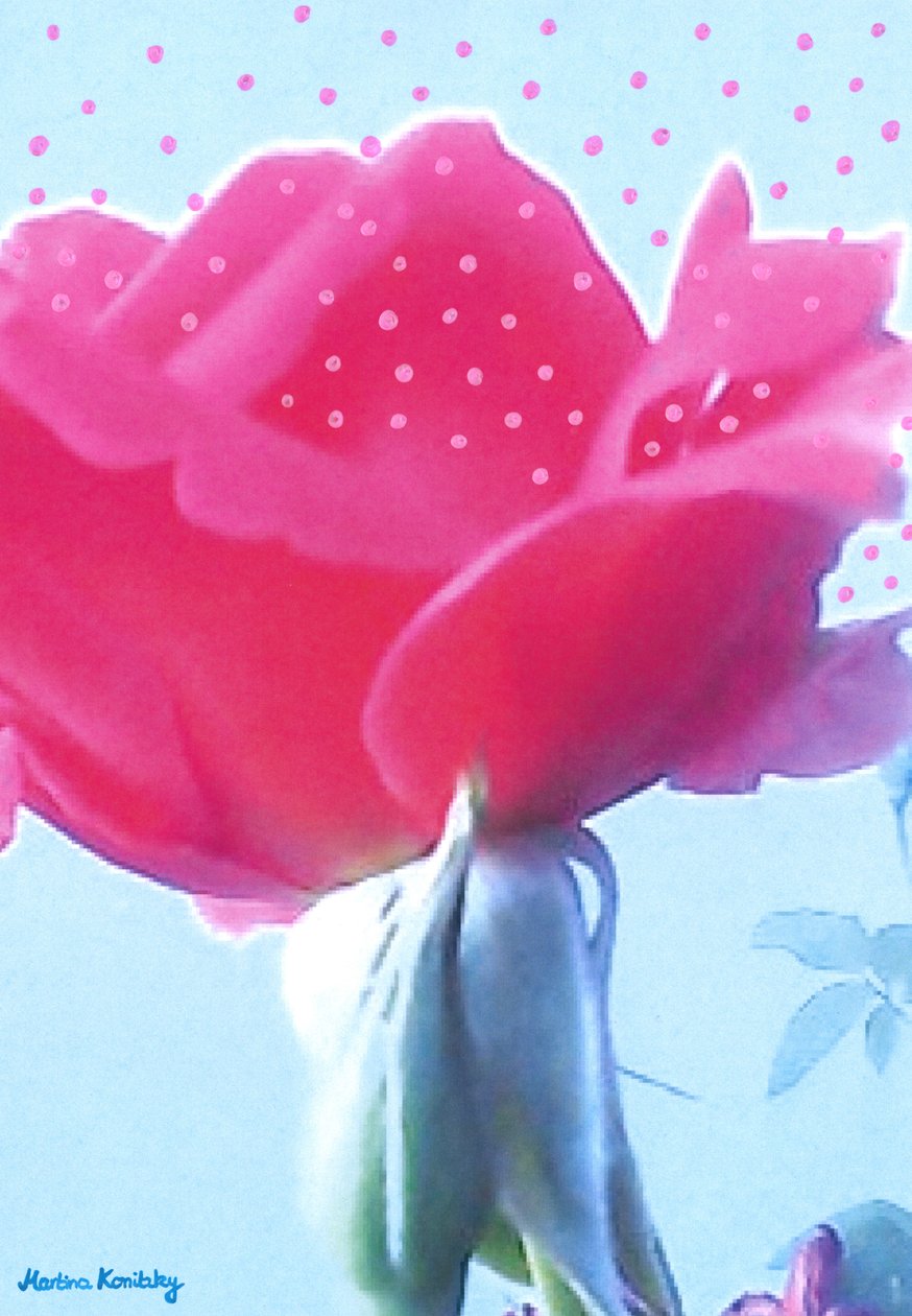 Rosa Pink von Martina Konitzky