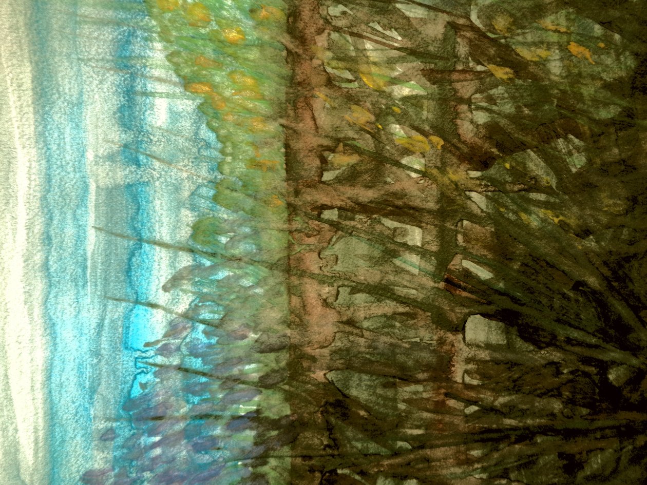 Sommerfeld von Martina Konitzky