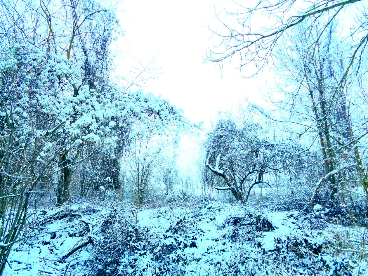Winter Blau von Martina Konitzky