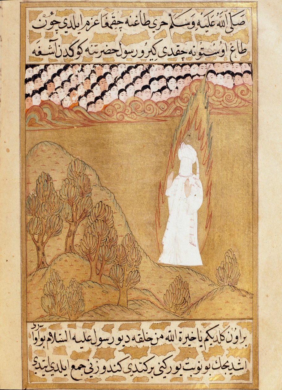 Mohammed Islam Mohammed – Wikipedia