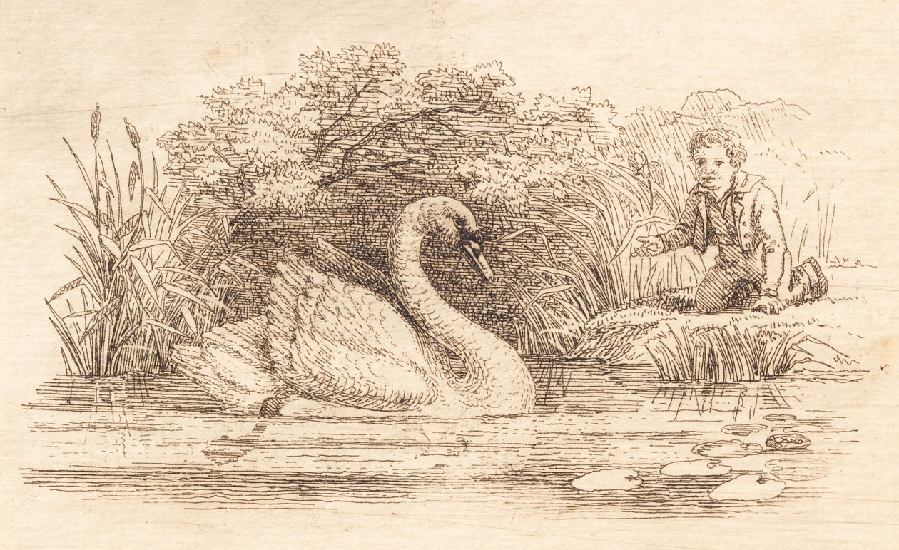 Illustration zu "Halvhundrede Fabler for Børn" von Hey von Martinus Rørbye