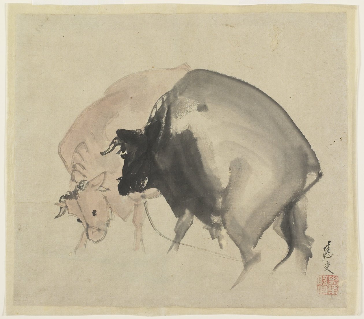 Zwei Stiere von Maruyama Oju: Kunstdruck in Museumsqualität