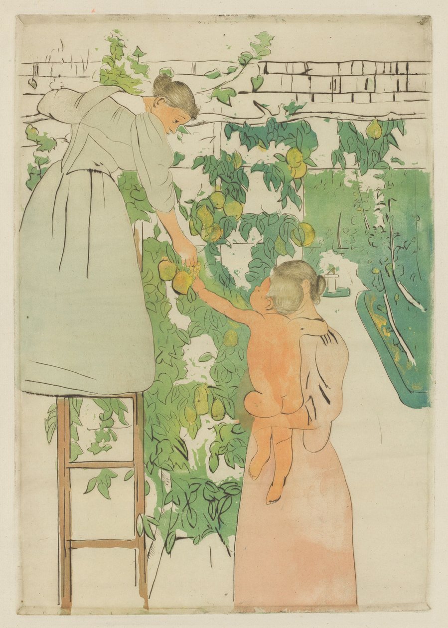 Früchte sammeln von Mary Cassatt