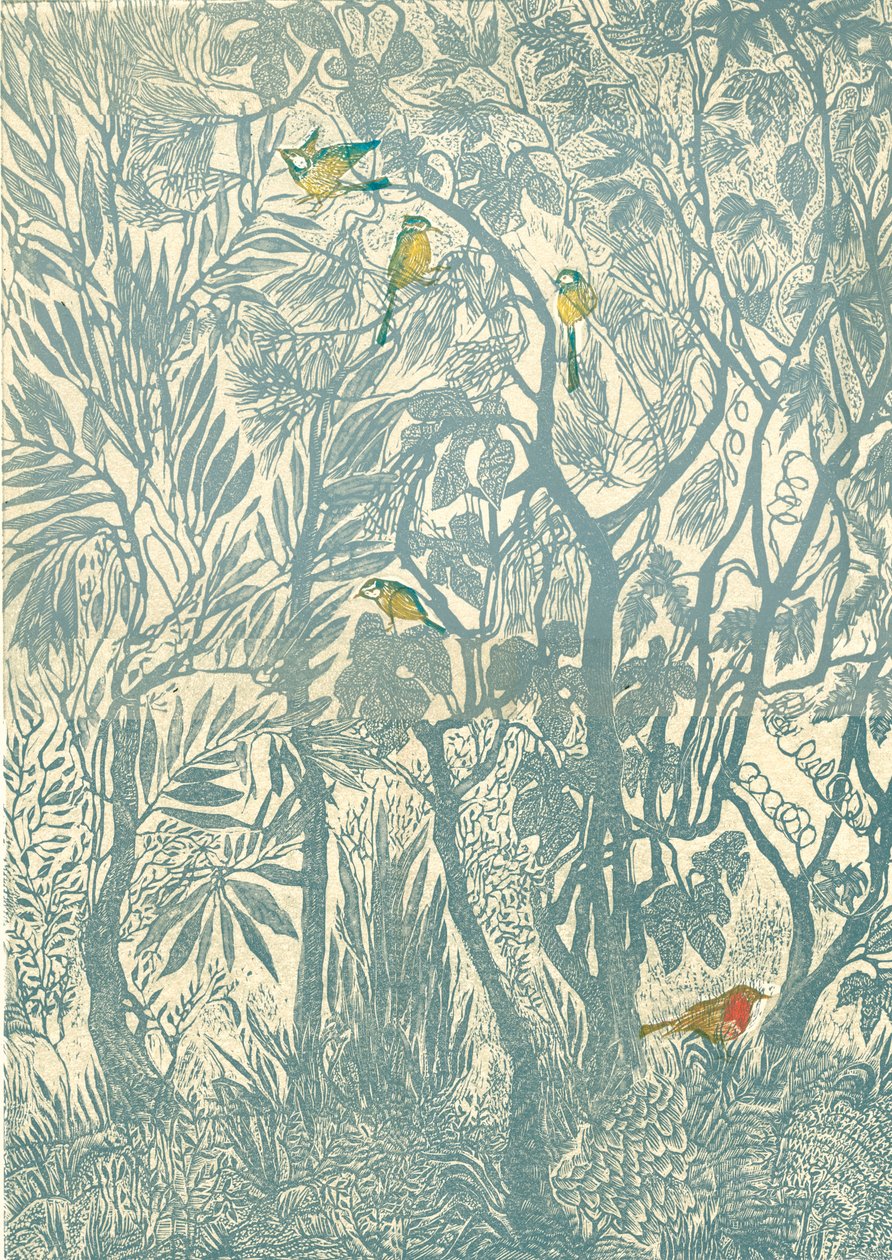 Vogelbeobachtung vom Küchenfenster: Rotkehlchen, 2012 von Mary Kuper
