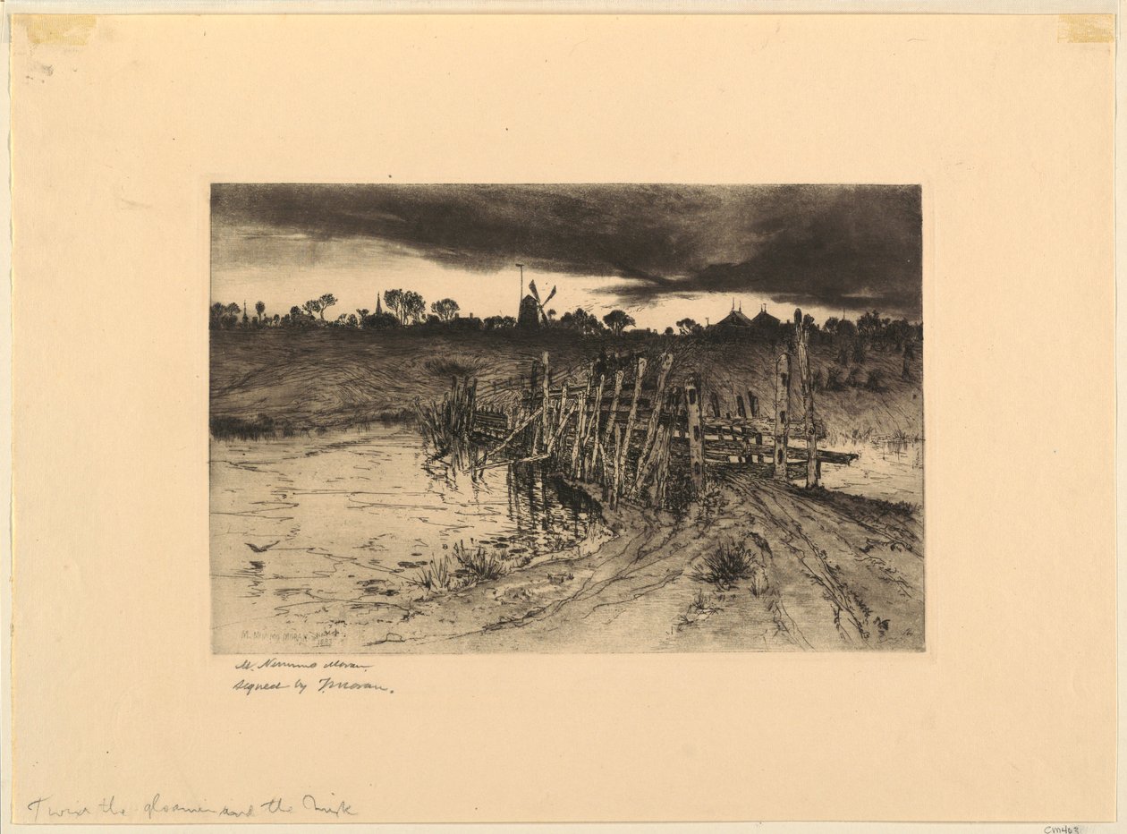 Zwischen der Dämmerung und dem Dunkel von Mary Nimmo Moran