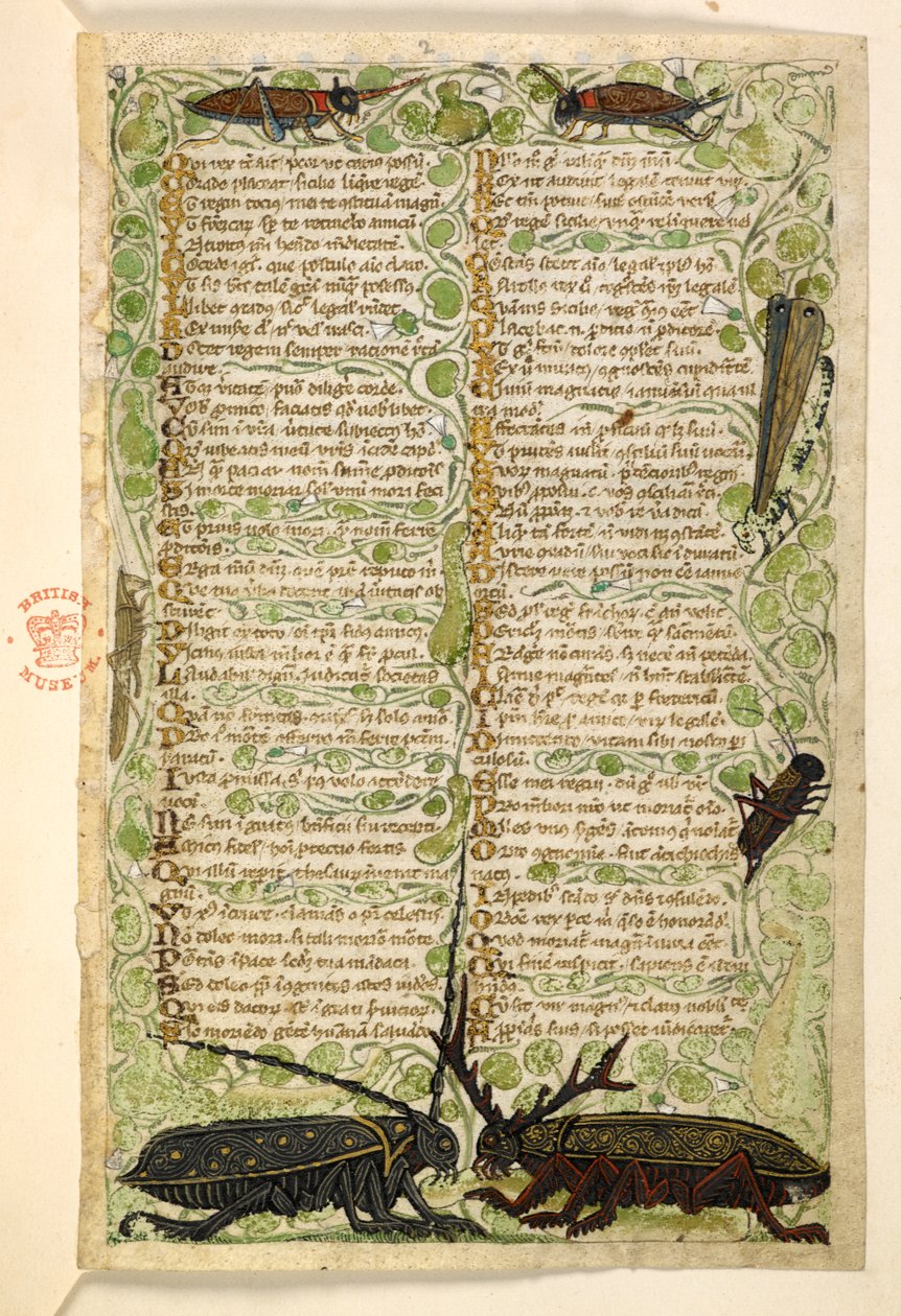 Add. 28841, f.2: Gehörnte Käfer, Grillen und eine Heuschrecke. Traktat über die Tugenden und Laster und eine anonyme Prosageschichte Siziliens (Fragment) Cocharelli von Master of the Cocharelli Codex