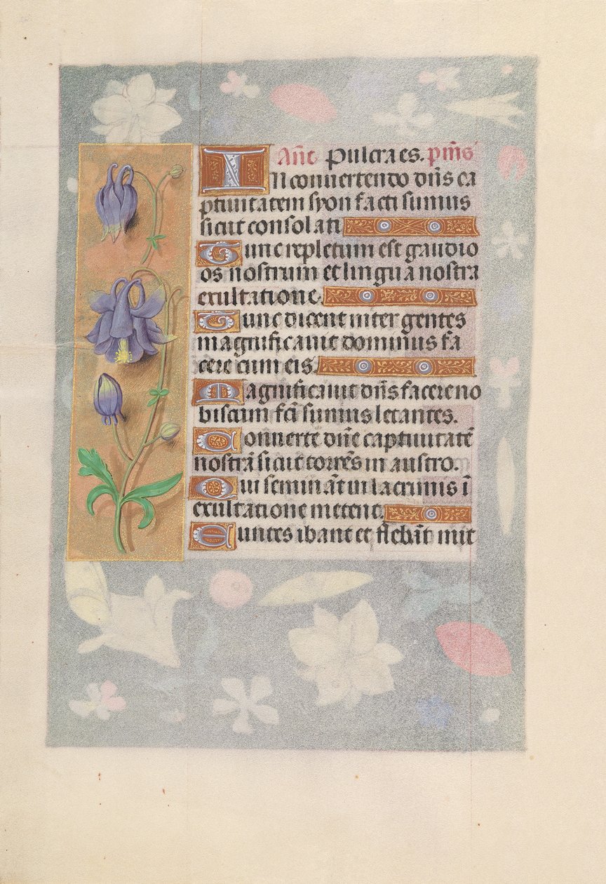 Stundenbuch der Königin Isabella der Katholischen, Königin von Spanien: Fol. 142v von Master of the First Prayerbook of Maximillian