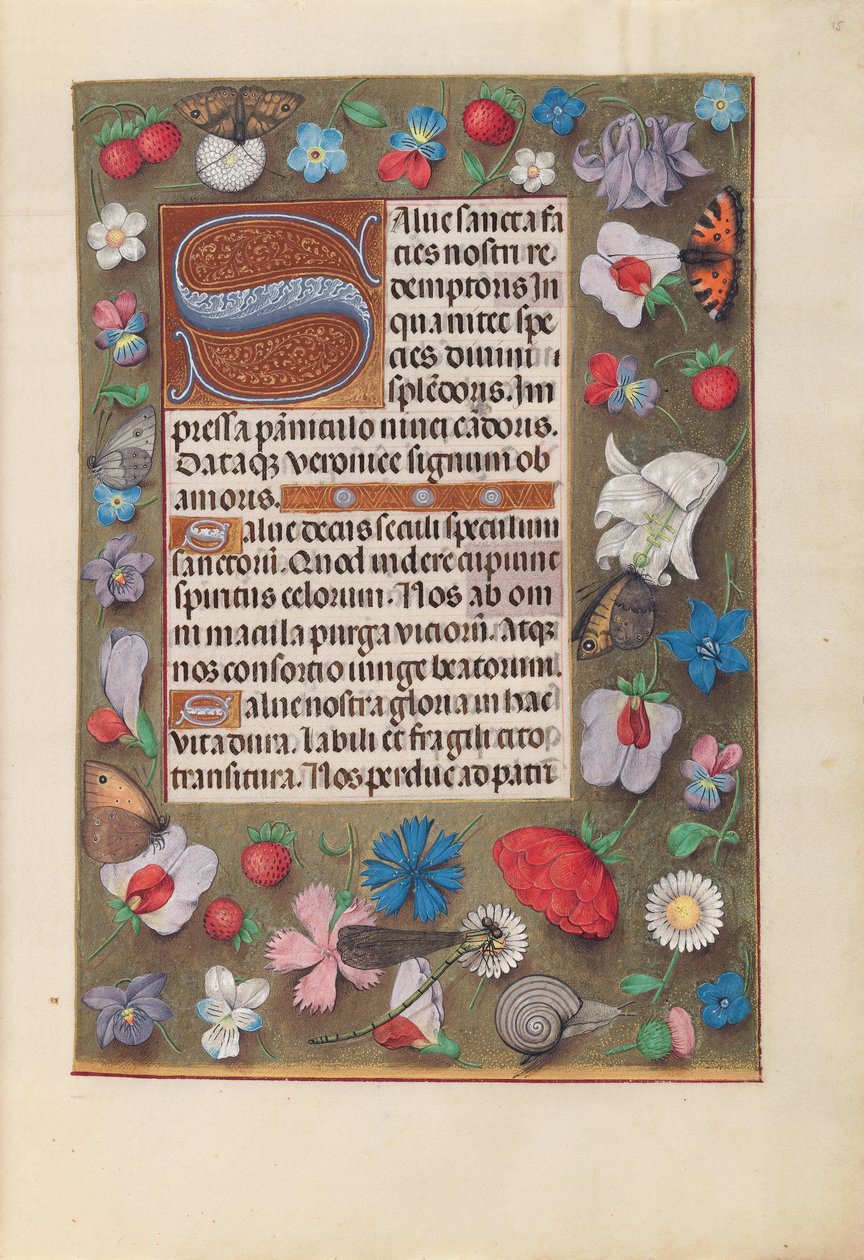 Stundenbuch der Königin Isabella der Katholischen, Königin von Spanien: Fol. 15r, um 1500 von Master of the First Prayerbook of Maximillian
