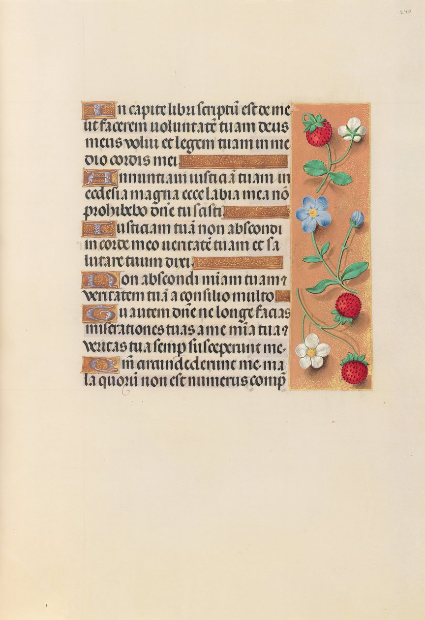 Stundenbuch der Königin Isabella die Katholische, Königin von Spanien: Fol. 240r von Master of the First Prayerbook of Maximillian