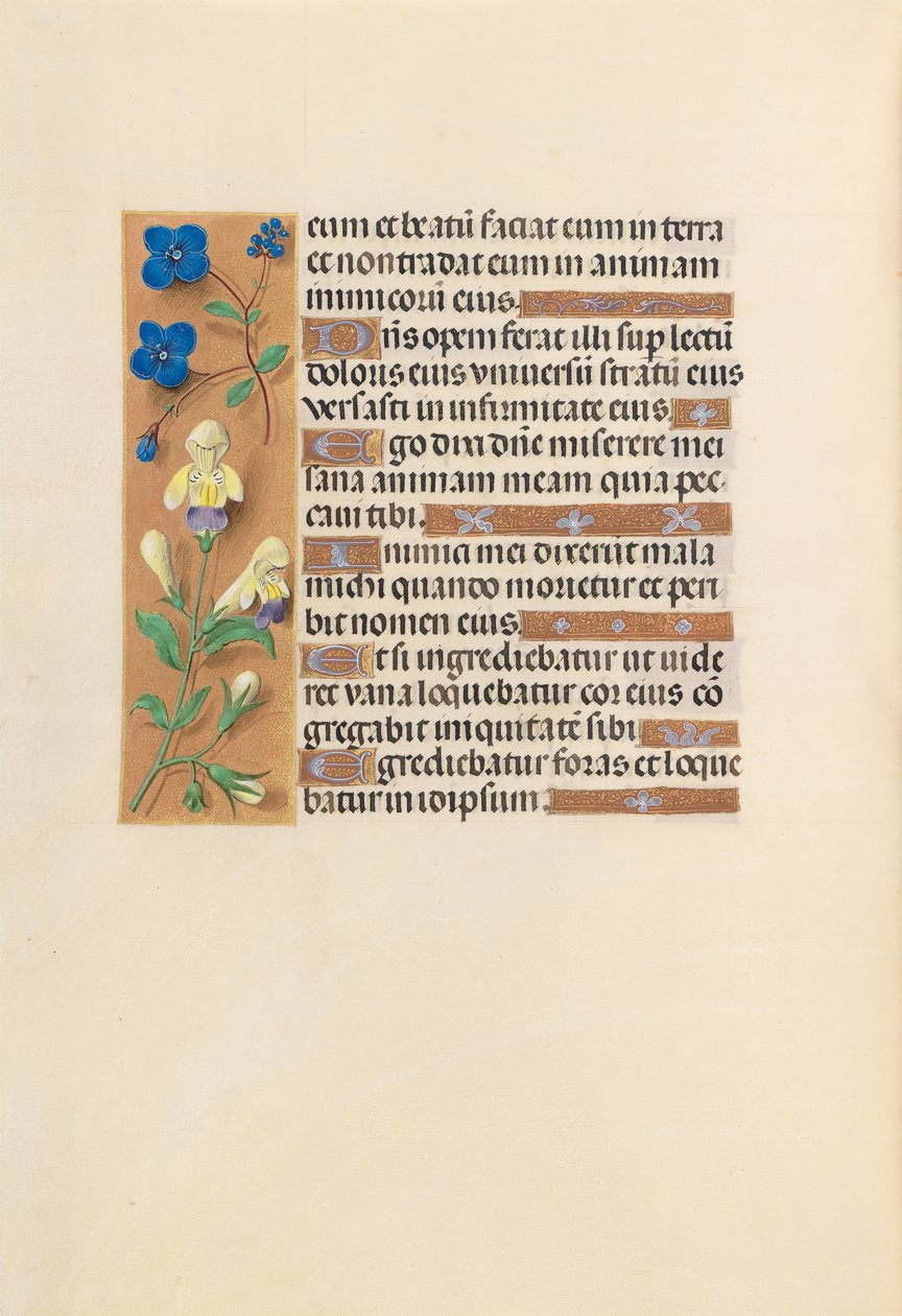 Stundenbuch der Königin Isabella der Katholischen, Königin von Spanien: Fol. 241v, um 1500 von Master of the First Prayerbook of Maximillian