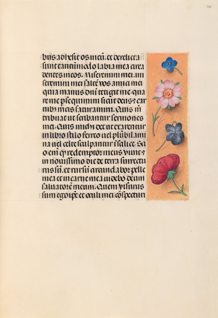 Stundenbuch der Königin Isabella der Katholischen, Königin von Spanien: Fol. 245r, um 1500 von Master of the First Prayerbook of Maximillian