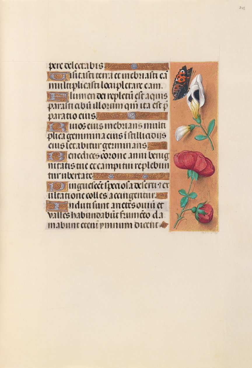 Stunden der Königin Isabella der Katholischen, Königin von Spanien: Fol. 249r, um 1500 von Master of the First Prayerbook of Maximillian
