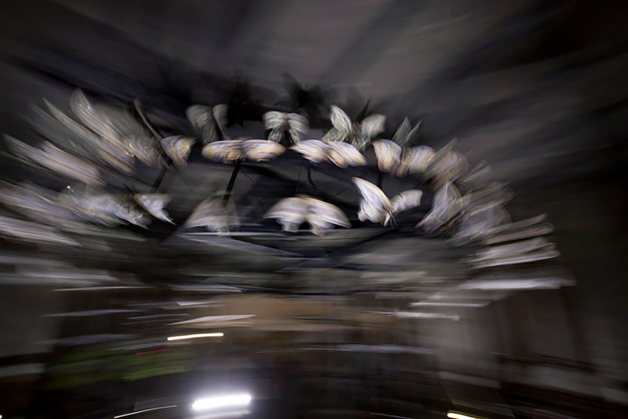 Zauberlaterne von Mat Collishaw