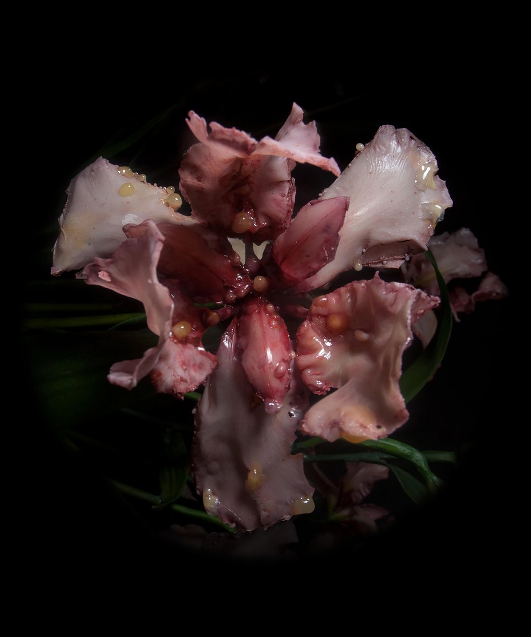 Venale Muse, Viridor, 2012 von Mat Collishaw