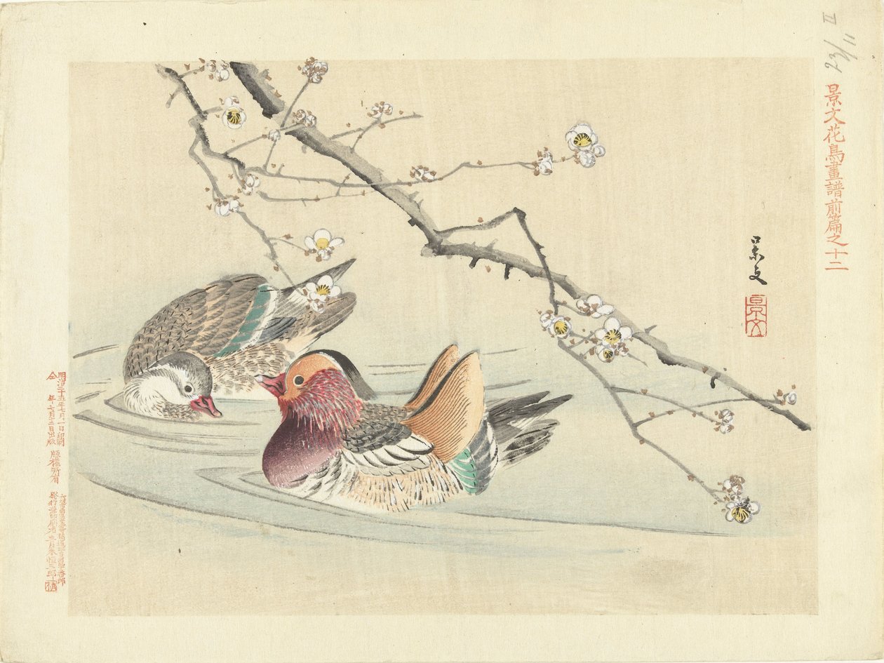 Zwei Enten (Blumen- und Vogelskizzen von Keibun - Teil eins) von Matsumura Keibun