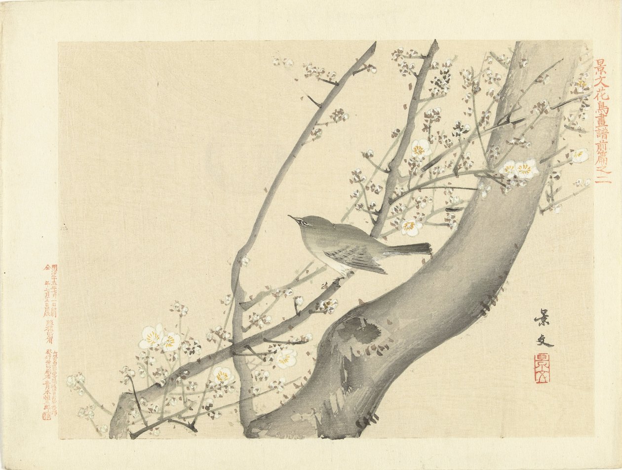 Vogel im Baum mit weißen Blüten Blumen- und Vogelskizzen von Keibun - Teil eins (Serientitel) Keibun kacho gafu zenpen (Serientitel auf Objekt) von Matsumura Keibun