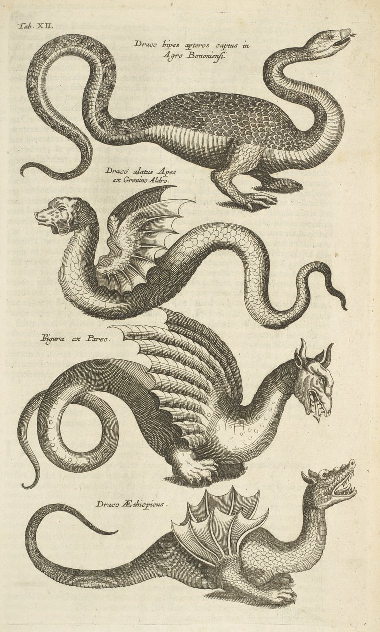Tafel XII, Mythische Kreaturen, Drachen, Illustration aus 