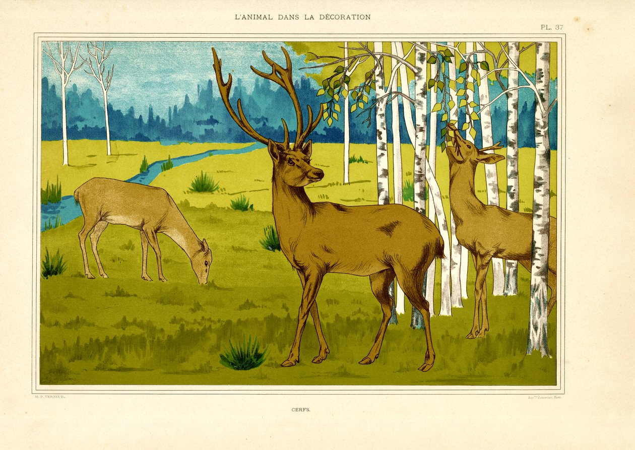 Hirsche in Birkenwaldlandschaft von Maurice Pillard Verneuil