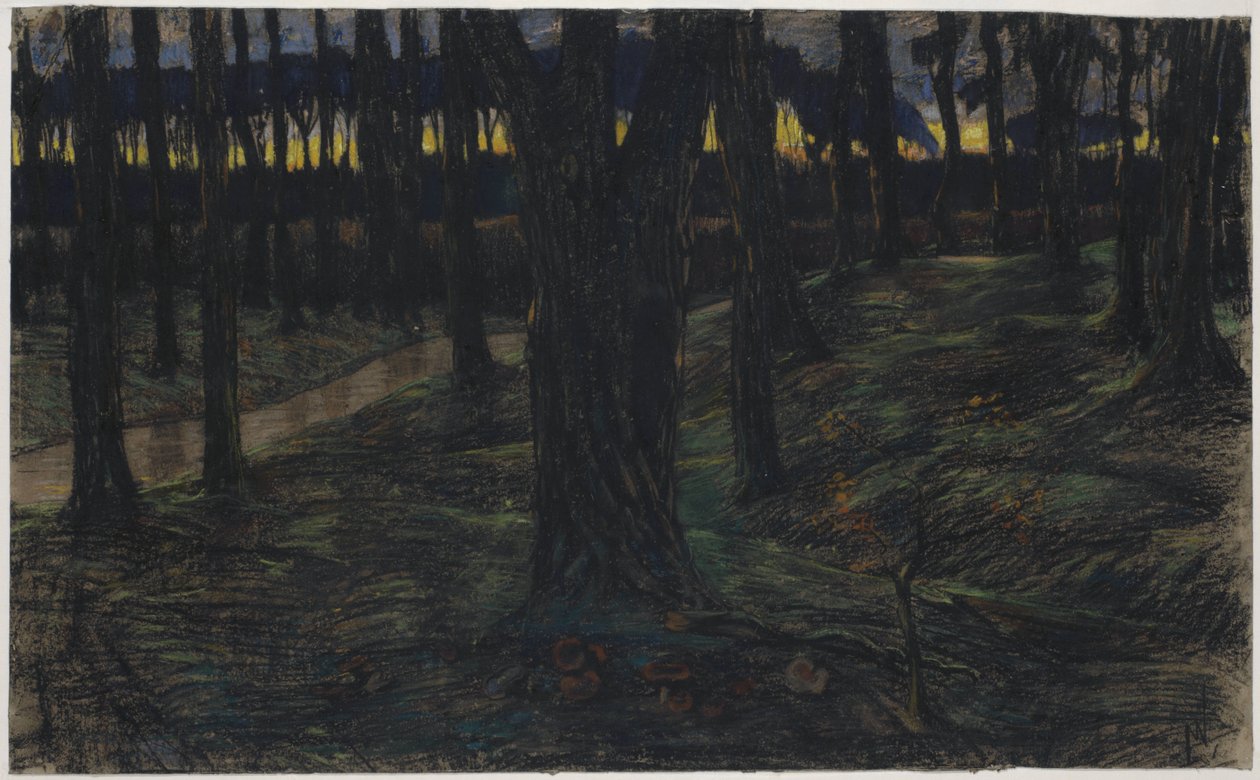 Waldansicht bei Sonnenuntergang von Maurits van der Valk
